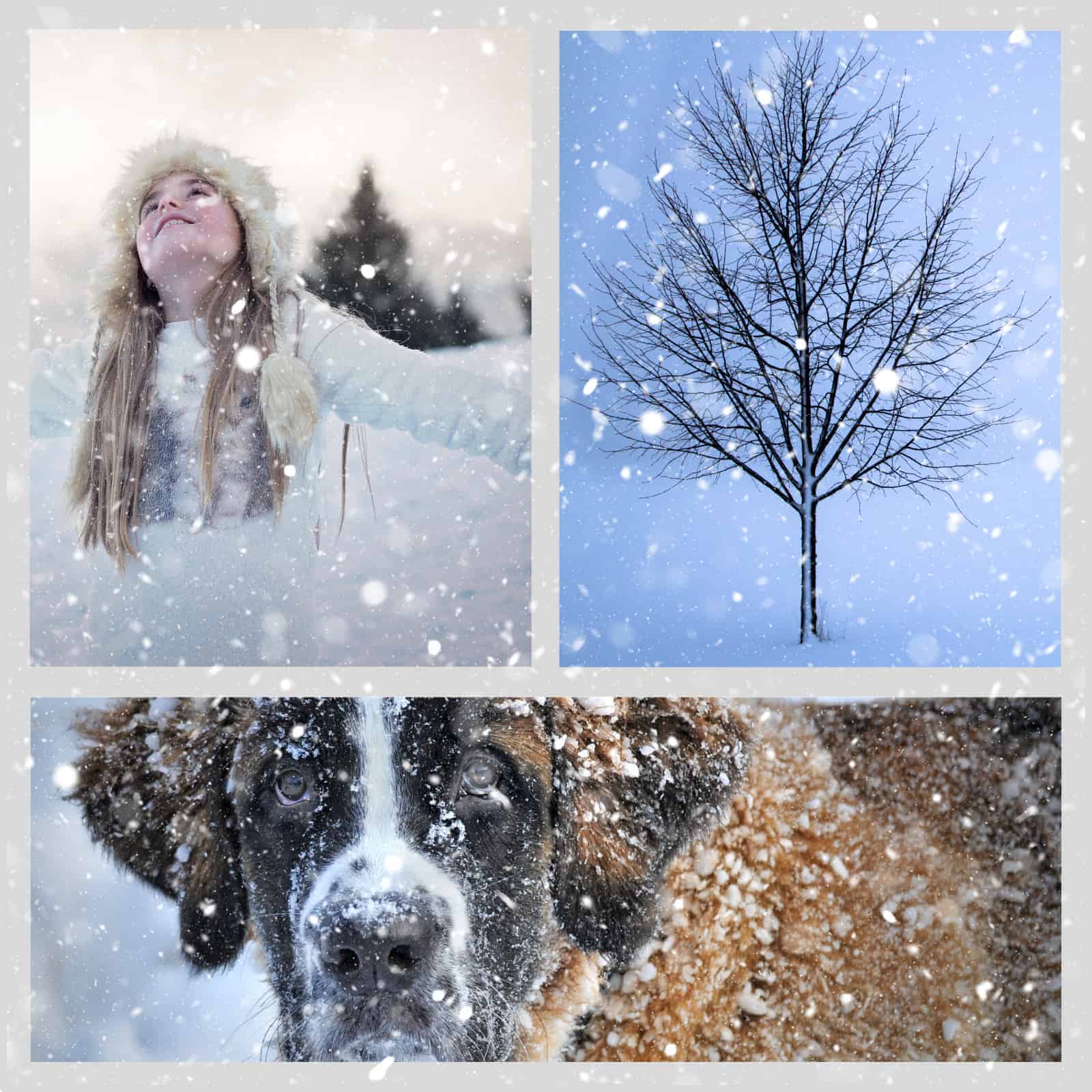 How to add a snow effect on a photo or collage | Free Online App